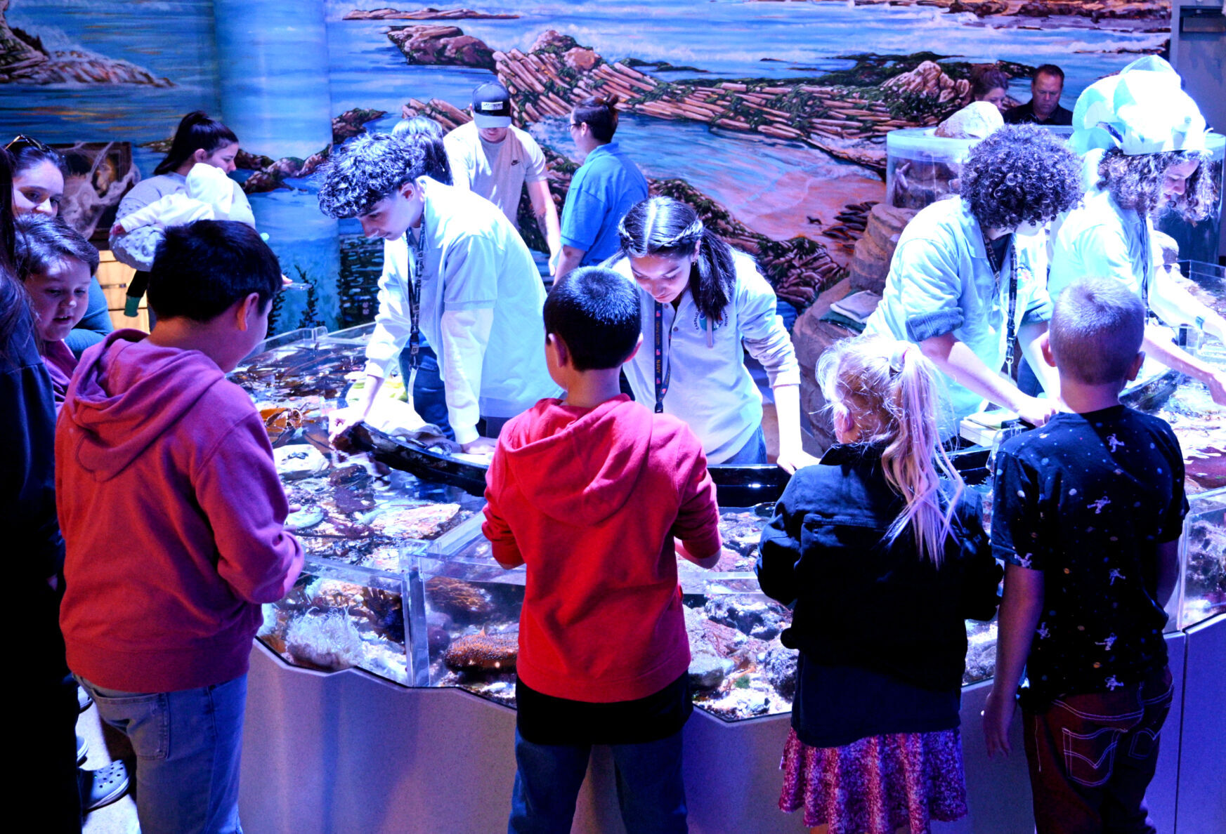 102722-smt-news-sharktoberfest-006